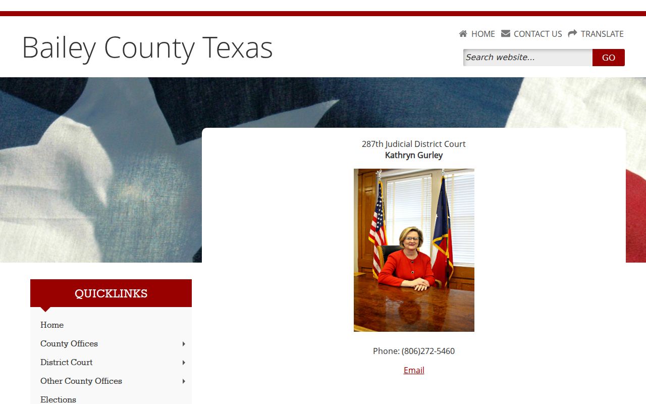 Official 287th Judicial District Court page for Bailey County